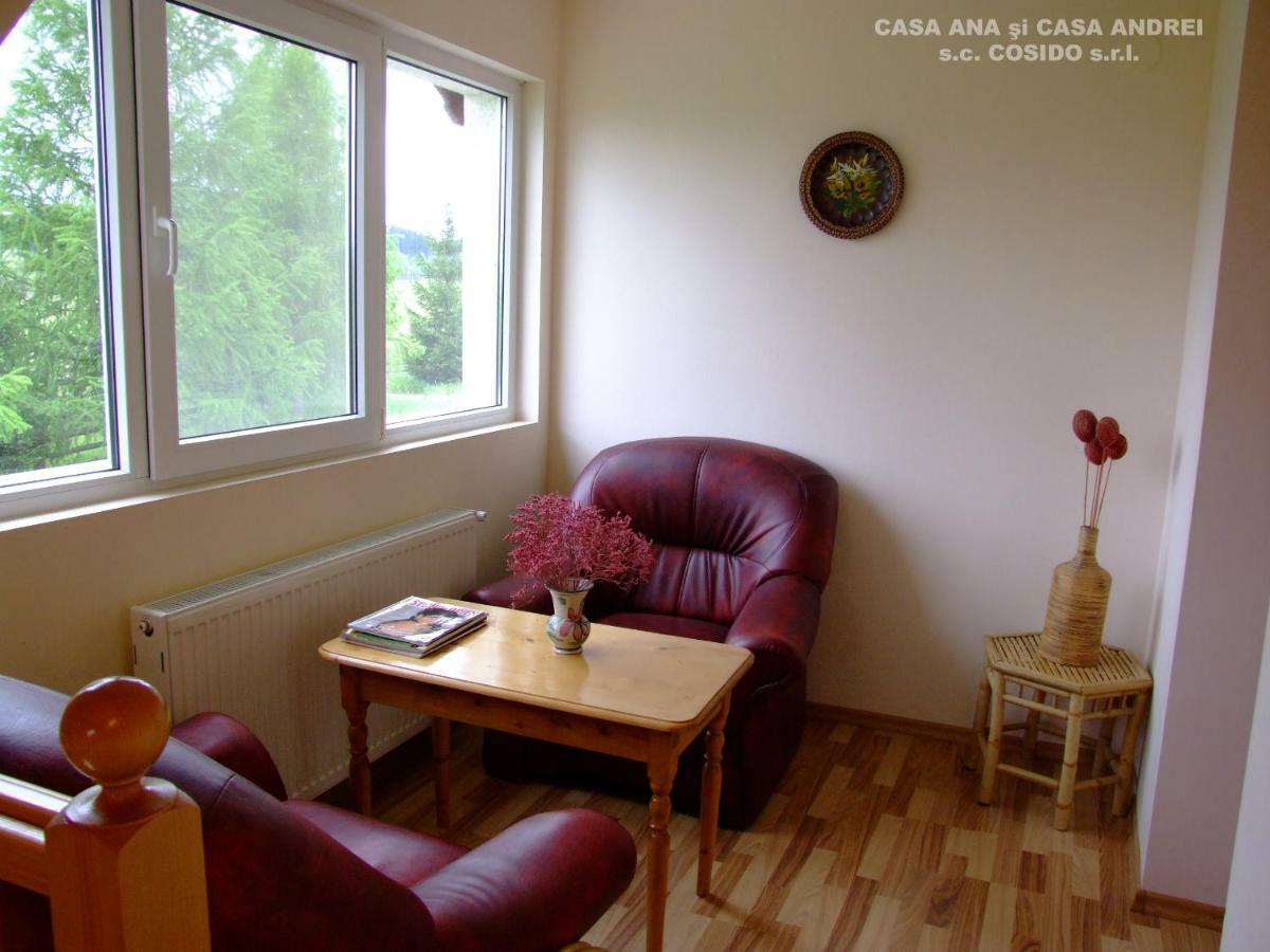 Casa Ana Vatra Dornei Villa Dealu Floreni Eksteriør billede