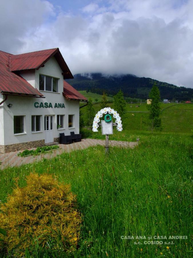 Casa Ana Vatra Dornei Villa Dealu Floreni Eksteriør billede